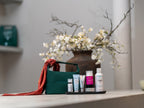 THE RADIANCE KIT